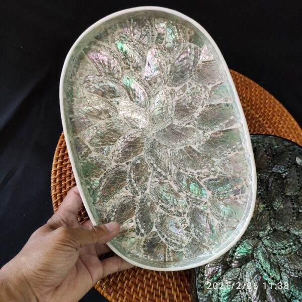 Abalone Shell Tray Oval 30x20cm - White